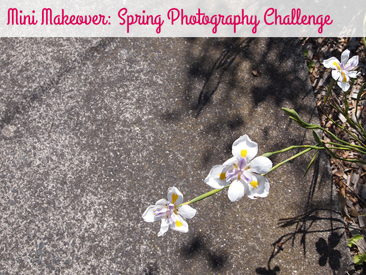 Mini Makeover: Spring Photography Challenge on Style for a Happy Home